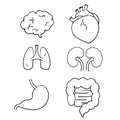 Hand drawn human internal organs icon set with lungs kidneys stomach intestines brain heart spleen and liver. doodle cartoon Royalty Free Stock Photo