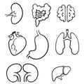 Hand drawn human internal organs icon set with lungs kidneys stomach intestines brain heart spleen and liver. doodle cartoon