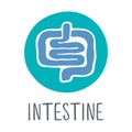 Hand drawn human intestine symbol or icon with title Royalty Free Stock Photo