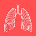 Hand drawn human lung illustration reverse Royalty Free Stock Photo