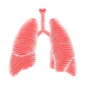 Hand drawn human lung illustration reverse with outline