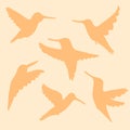 Hand drawn hummingbirds silhouette pattern. Perfect for T-shirt, poster, greeting card and print. Doodle vector illustration