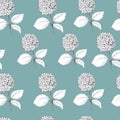 Hand drawn hydrangea seamless pattern.