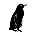 Hand Drawn icon for A Galapagos Penguin standing on a rock (Spheniscus mendiculus Royalty Free Stock Photo