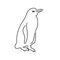 Hand Drawn icon for A Galapagos Penguin standing on a rock (Spheniscus mendiculus Royalty Free Stock Photo
