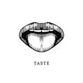 Hand drawn icon of human sense of taste in engraved style. Vector illustration of mouth and tongue