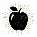 Hand drawn icon with textured apple vector illustration Royalty Free Stock Photo