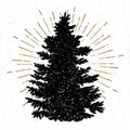 Hand drawn icon with a textured fir tree vector illustration Royalty Free Stock Photo