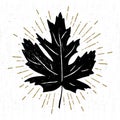 Hand drawn icon with a textured maple leaf vector illustration Royalty Free Stock Photo