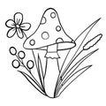 hand drawn illsutration of cute fungi amanita mushroom with wild forest grass plants berries. Black line coloring page