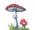 Hand Drawn Illustration Amanita On White Background. Inedible Mushrooms.