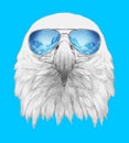 Portrait of Eagle with sunglasses, hand-drawn illustration Royalty Free Stock Photo
