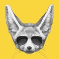 Portrait of Fennec Fox with sunglasses, hand-drawn illustration