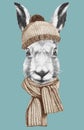 Portrait of Hare with hat and scasrf, hand-drawn illustration Royalty Free Stock Photo