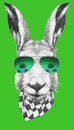 Portrait of Hare with sunglasses and scarf, hand-drawn illustration. Royalty Free Stock Photo