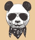 Portrait of Panda with sunglasses and scarf, hand-drawn illustration, vector