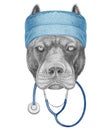 Portrait of Pit Bull with doctor cap and stethoscope. Hand-drawn illustration.