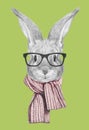 Portrait of Rabbit with scarf and glasses, hand-drawn illustration Royalty Free Stock Photo