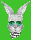 Portrait of Rabbit with sunglasses and scarf, hand-drawn illustration Royalty Free Stock Photo