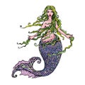 Hand drawn Illustration of a Beautiful mermaid girl isolated on Royalty Free Stock Photo