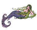 Hand drawn Illustration of a Beautiful mermaid girl isolated on Royalty Free Stock Photo