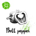 Hand drawn illustration of bell peppers whole and sliced. Sketch style vector capsicums. Health eco food fresh farm drawing