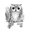 Hand drawn illustration bird. Art Coloring book owl