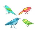 Hand drawn of beautiful bird set background