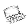 Hand drawn illustration - Box of Eggs on white background. Sketch. Vector.