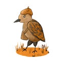 Hand drawn illustration of cartoon fall autumn bird in orange brown grass. British english birding, nature animal