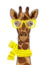 Hand drawn Illustration character of dressed up giraffe hipster with yellow glasses Royalty Free Stock Photo