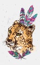 Hand-drawn illustration cheetah