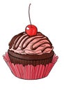 illustration of a chocolate cupcake covered icing and cherry