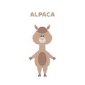 Cartoon a cute and funny alpaca.