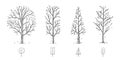 hand drawn illustration of dead geometric shape trees. line art isolated on white background. Royalty Free Stock Photo