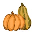 Hand drawn illustration of fall autumn pumpkin in yellow orange. Sticker for halloween thanksgiving, cozy farm farmhouse