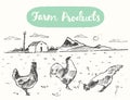 Drawn range chicken farm fresh meat vector sketch