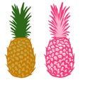 Hand drawn illustration of fruit pineapple, pink yellow green tropical dessert food, bright colorful sketch style
