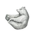 Hand drawn illustration of fun a bear isolated on vintage backg