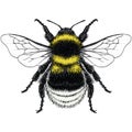 Illustration of Garden Bumble Bee Royalty Free Stock Photo