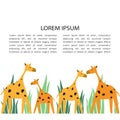 Hand drawn illustration with giraffes, grass and place for text. Colorful background, funny animals