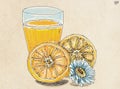 hand drawn illustration of a glass of orange juice with slice and flower Royalty Free Stock Photo