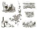 Hand drawn illustration of grape vineyard landscapes, still life, bottle of wine, wine glasses, cheese piece, lemon, grapevine