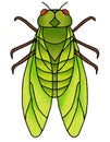 a hand drawn illustration of a green cicada bug