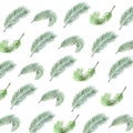 Pattern watercollor illustration palm branches on a white background