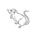 Hand drawn illustration of a little white mouse outline