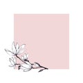 Hand drawn illustration magnolia flowers on pink background.