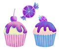 Hand drawn illustration of pastel sweet dessert pastry citrus candy cupcake with cherry strawberry. Purple pink