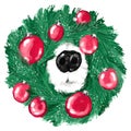 Hand drawn illustration of pet dog black nose in green christmas wreath red ornaments. Cute funny design for winter card Royalty Free Stock Photo