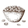 Hand drawn illustration of pistachio nuts in bowl isolated on white. vector ink engraved nuts drawing in vintage style